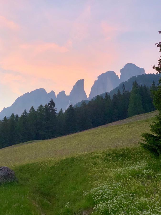 Chalet Pian Campitello di Fassa Ngoại thất bức ảnh