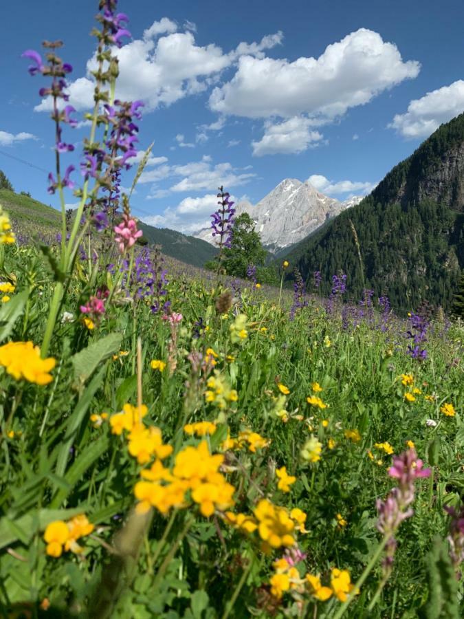 Chalet Pian Campitello di Fassa Ngoại thất bức ảnh